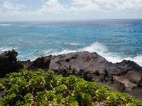 Halona Blowhole, Oahu