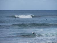 Surfers Paradise, Oahu