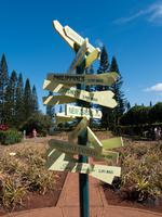 Dole Ananas-Plantage