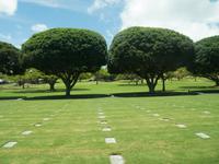 Friedhof Honolulu