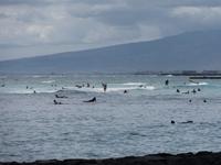 Waikiki Beach Honolulu