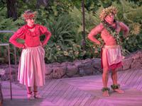 Hula-Show in Honolulu