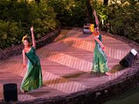 Hula-Show in Honolulu