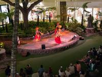Hula-Show in Honolulu