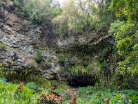 Farngrotte Kauai