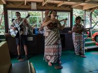 hawaiianische Musik und Hula-Tänze