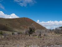 Vulkanlandschaft Big Island