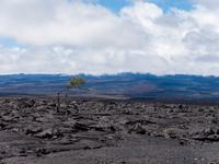 Vulkanlandschaft Big Island