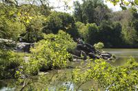 Central Park - The Lake