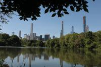 Central Park - The Lake