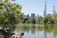 Central Park - The Lake