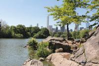 Central Park - The Lake