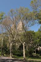 Central Park - The Lake