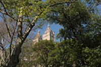 Central Park - The Lake