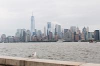 Skyline Manhattan mit Möwe