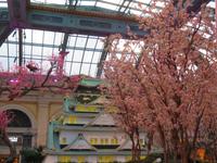 Las Vegas - Bellagio