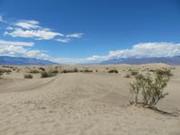Death Valley - Sand Dunes