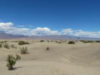 Death Valley - Sand Dunes