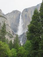 Yosemite NP