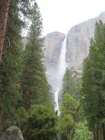 Yosemite NP