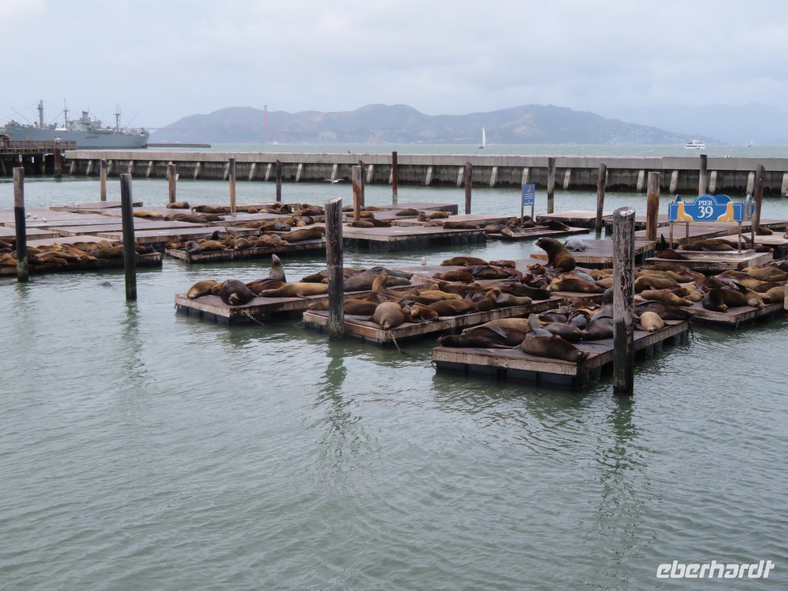 San Francisco - Pier 39
