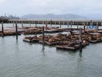 San Francisco - Pier 39