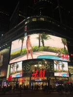 Times Square (3)