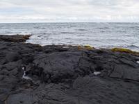 Punalu'u Strand Big Island Hawaii