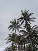 Punalu'u Strand Big Island Hawaii