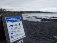 Punalu'u Strand Big Island Hawaii