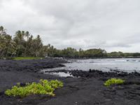 Punalu'u Strand Big Island Hawaii