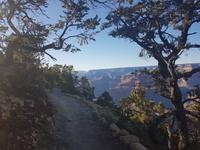 18. Impressionen vom Grand Canyon, der größten Schlucht der Erde (10)