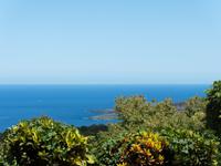 Küste Big Island Hawaii