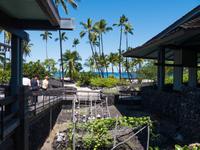 Tempelanlage Puuhonua o Honaunau 