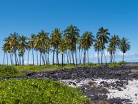 Tempelanlage Puuhonua o Honaunau 