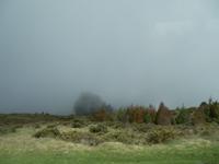 Auffahrt zum Haleakala