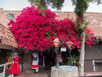 Olvera Street, Los Angeles