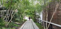 New York - Spaziergang im Highline Park