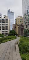 New York - Spaziergang im Highline Park
