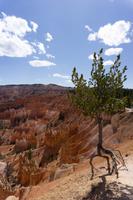 Bryce Canyon 