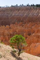 Bryce Canyon 