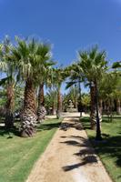 Furnace Creek