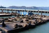 San Francisco - Pier 39