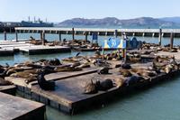 San Francisco - Pier 39