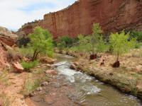 Freemont River im Capitol Reef