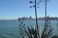 Blick von Alcatraz auf San Francisco Downtown und die Bay Bridge