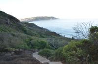 Morgenspaziergang am Bowman Trail in San Francisco - Golden Gate Bridge