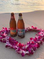 Waikiki-Beach Sunset