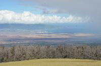 Fahrt zum Haleakala National Park