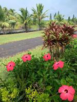 Im Inselinneren von Big Island